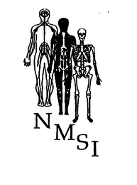 NMSI logo