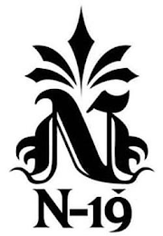 NN-19 logo