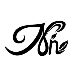 NN logo