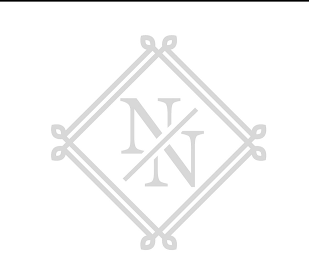 NN logo