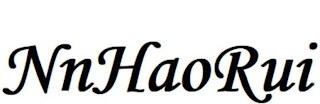 NNHAORUI logo