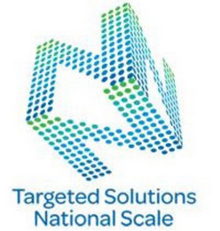 NNN TARGETED SOLUTIONS NATIONAL SCALE logo