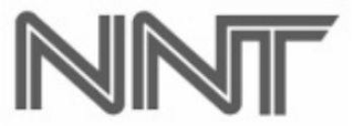 NNT logo