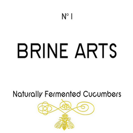 NO 1 BRINE ARTS NATURALLY FERMENTED CUCUMBERS logo
