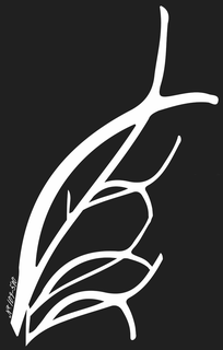NO. 1.09-5.10 logo