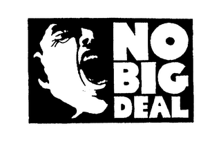 NO BIG DEAL logo