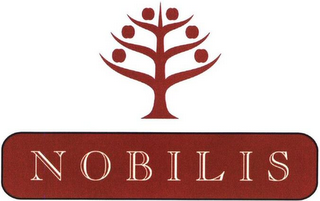 NO BILIS logo