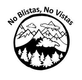 NO BLISTAS, NO VISTAS logo