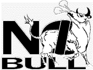 NO BULL logo