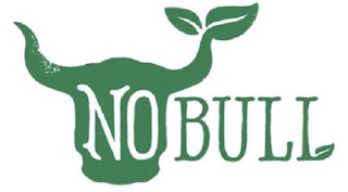NO BULL logo