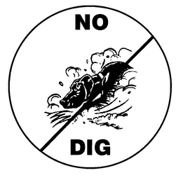 NO DIG logo