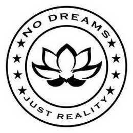NO DREAMS JUST REALITY logo