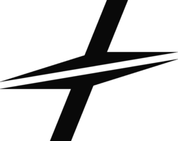 NO EXISTING LITERAL ELEMENT OF MARK logo