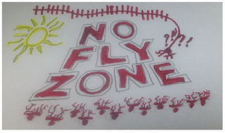 NO FLY ZONE logo