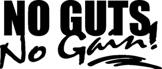 NO GUTS, NO GAIN! logo