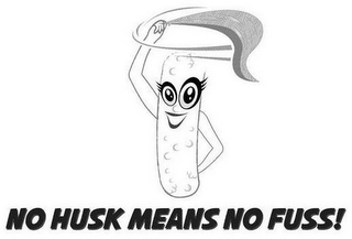 NO HUSK MEANS NO FUSS! logo