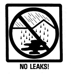 NO LEAKS! logo