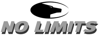 NO LIMITS logo