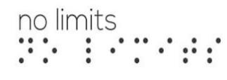 NO LIMITS logo