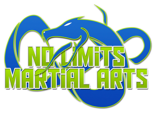 NO LIMITS MARTIAL ARTS logo