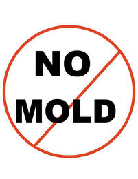 NO MOLD logo