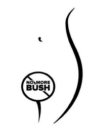 NO MORE BUSH logo