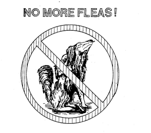 NO MORE FLEAS! logo