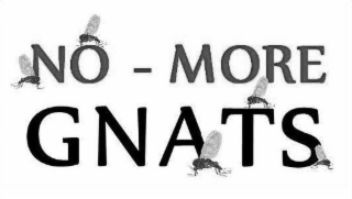 NO - MORE GNATS