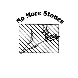 NO MORE STONE logo