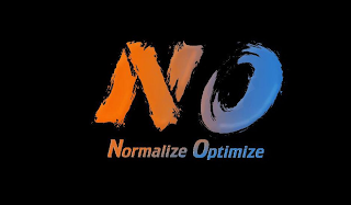 NO NORMALIZE OPTIMIZE logo