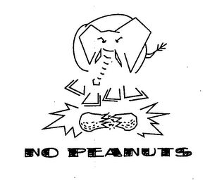 NO PEANUTS logo