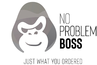 NO PROBLEM BOSS JUST WHAT YOU ORDERED logo