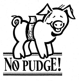 NO PUDGE!