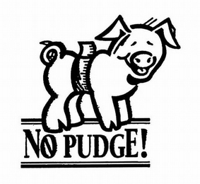 NO PUDGE! logo