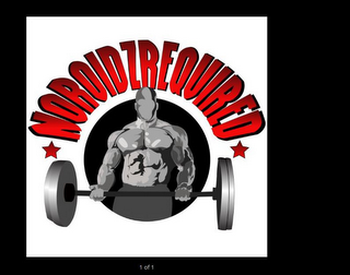 NO ROIDZ REQUIRED logo