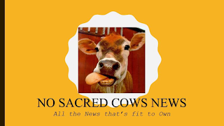 NO SACRED COWS NEWS ALL THE NEWS THAT'S FIT TO OWN logo