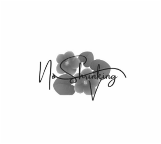 NO SHRINKING V logo