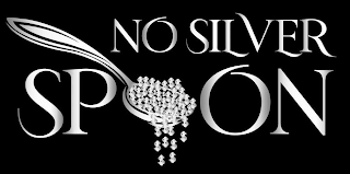 NO SILVER SPOON logo