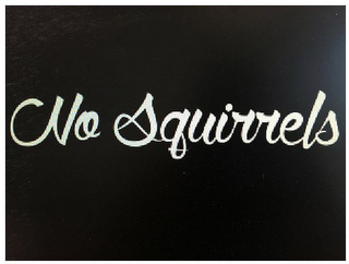 NO SQUIRRELS logo
