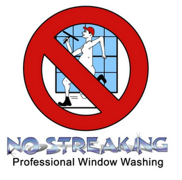 NO STREAKING PROFESSIONAL WINDOW WASHING logo