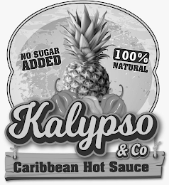 NO SUGAR ADDED 100% NATURAL KALYPSO & CO CARIBBEAN HOT SAUCE logo
