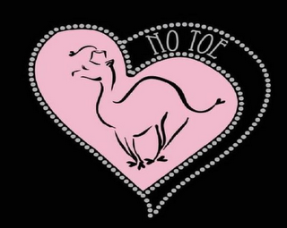 NO TOE logo