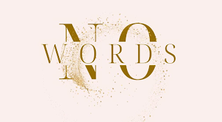 NO WORDS logo