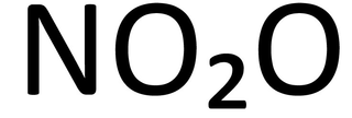 NO2O logo