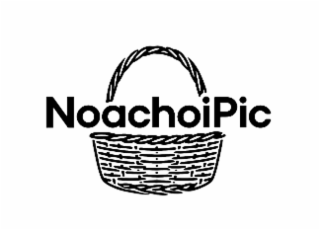 NOACHOIPIC