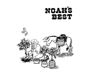 NOAH'S BEST logo