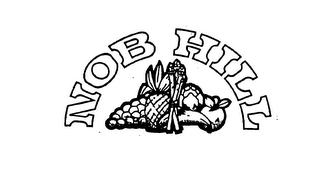 NOB HILL logo