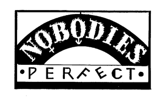 NOBODIES PERFECT logo