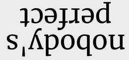 NOBODY'S PERFECT logo