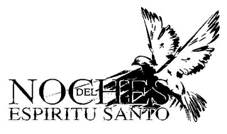 NOCHES DEL ESPIRITU SANTO logo